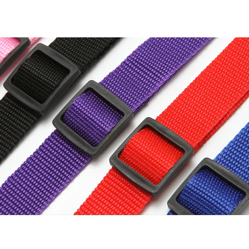 Solid Color Two-in-one Pet Car Seat Belt Nylon Lead Leash Backseat Safety Belt 2025