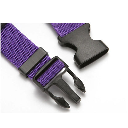 Solid Color Two-in-one Pet Car Seat Belt Nylon Lead Leash Backseat Safety Belt 2025